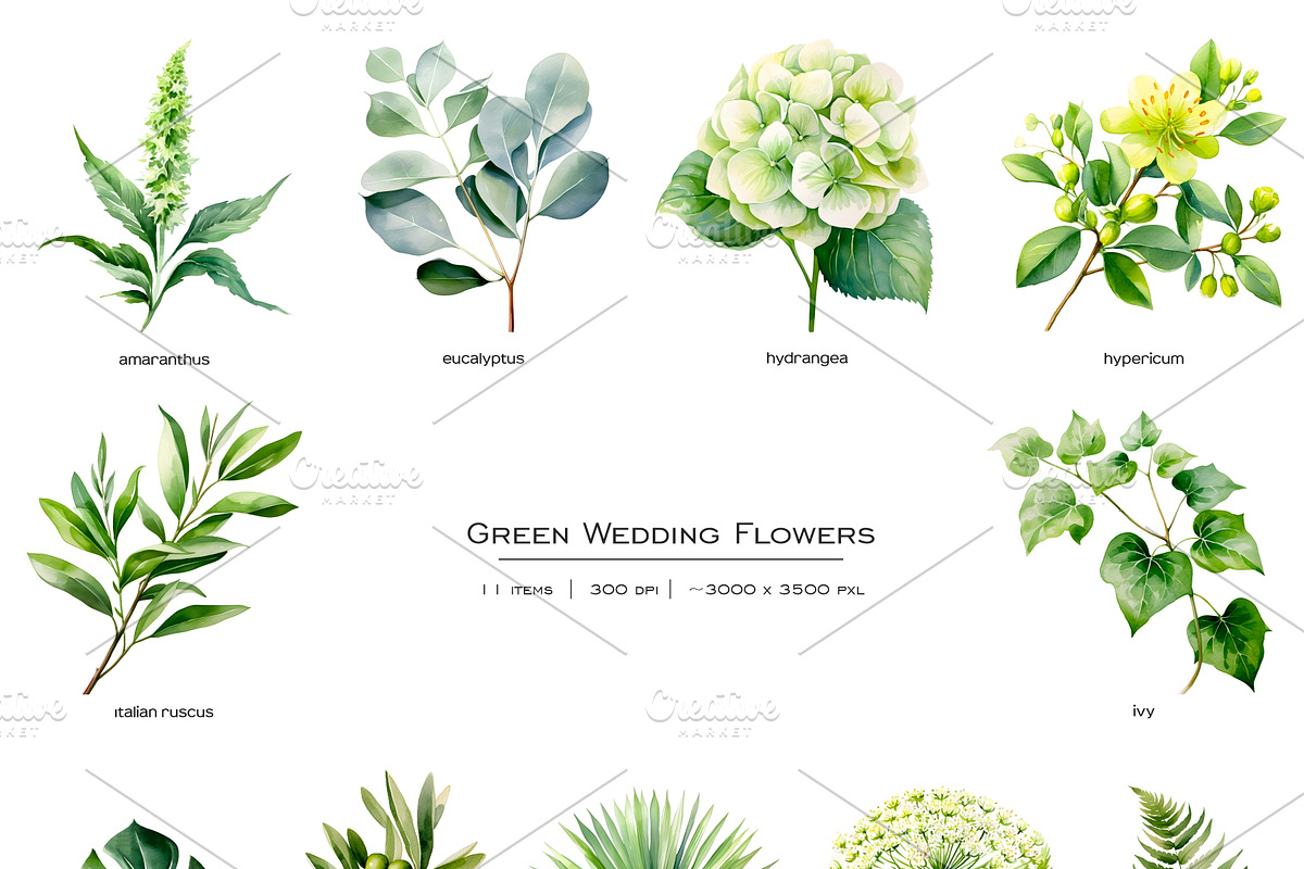 Watercolor green wedding flowers, an Object Illustration by Art and Funny (Photo 2 of 5)