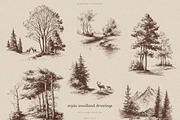 Sepia Woodland Drawings, an Animal Illustration by PeDe Designs (Thumbnail 13 of 15)