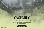 Dellonia, a Serif Font by Gatype (Thumbnail 7 of 10)