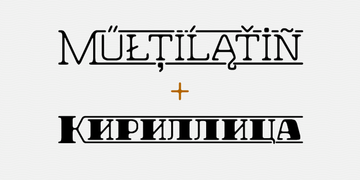 Hazelnut Pro, a Serif Font by Eimantas Paskonis (Photo 4 of 5)