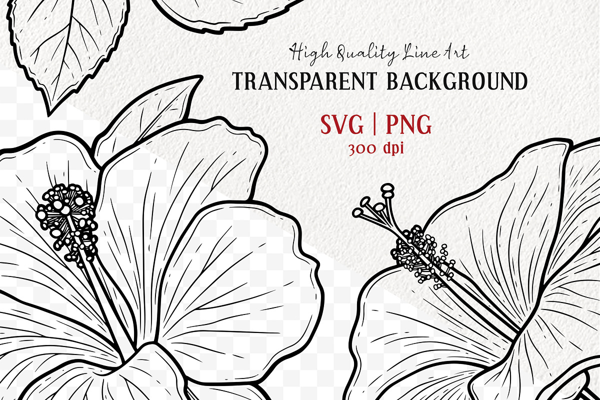 Hibiscus Flower Vector Line Art Set, an Illustration by MadliArt (Photo 2 of 4)