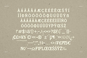 Skinner Morgan A Organic Typeface, a Serif Font by Storytype Studio (Thumbnail 12 of 18)