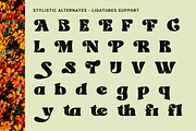 Velocity - Dynamic Retro Display, a Serif Font by Windfall Co (Thumbnail 10 of 11)
