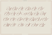Cut Putroe Navisha, a Script Font by Typehill (Thumbnail 13 of 15)