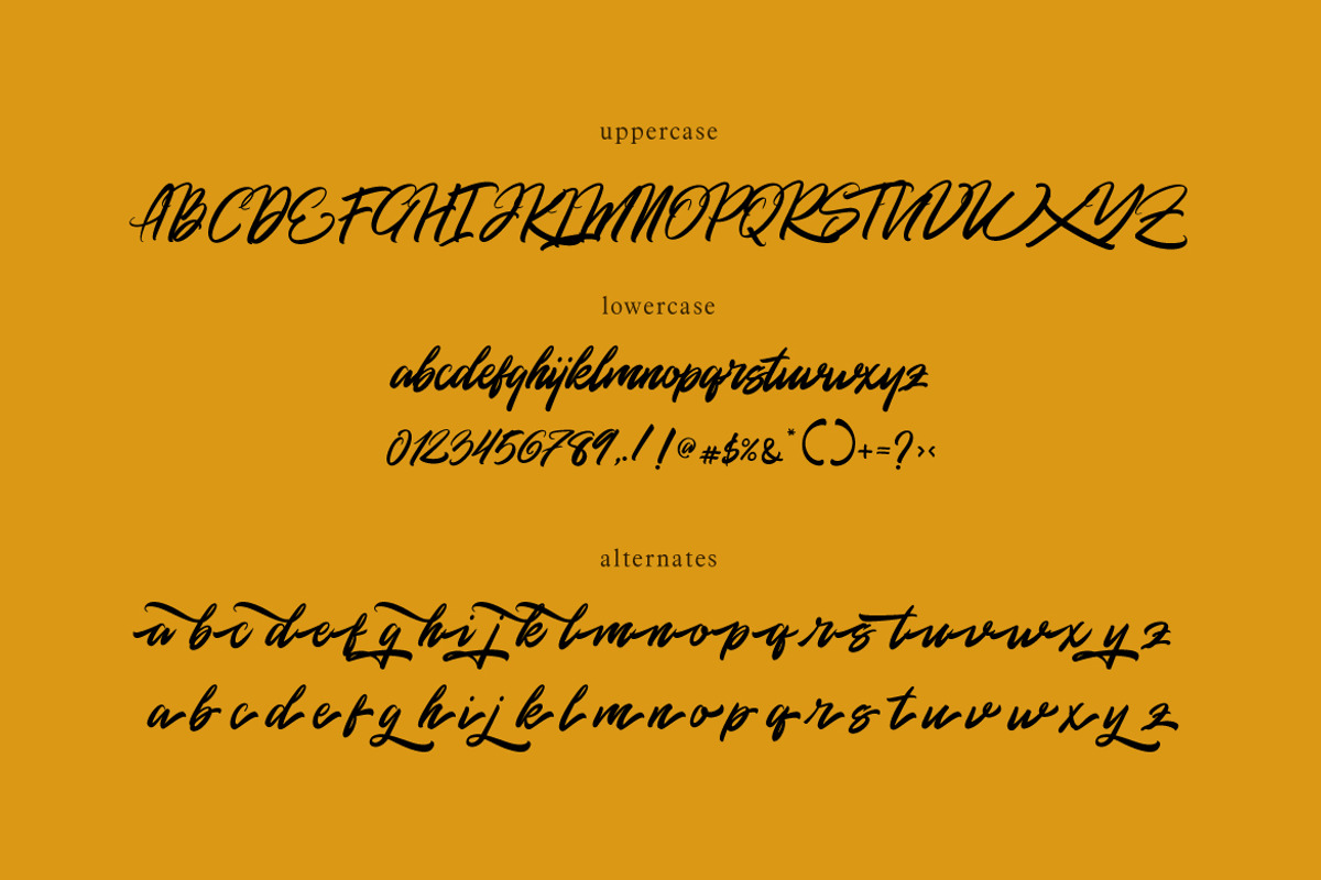 Rommantis Script preview 8