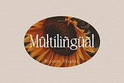 Breasto - Display Serif, a Sans Serif Font by tebaltipislab (Thumbnail 7 of 18)
