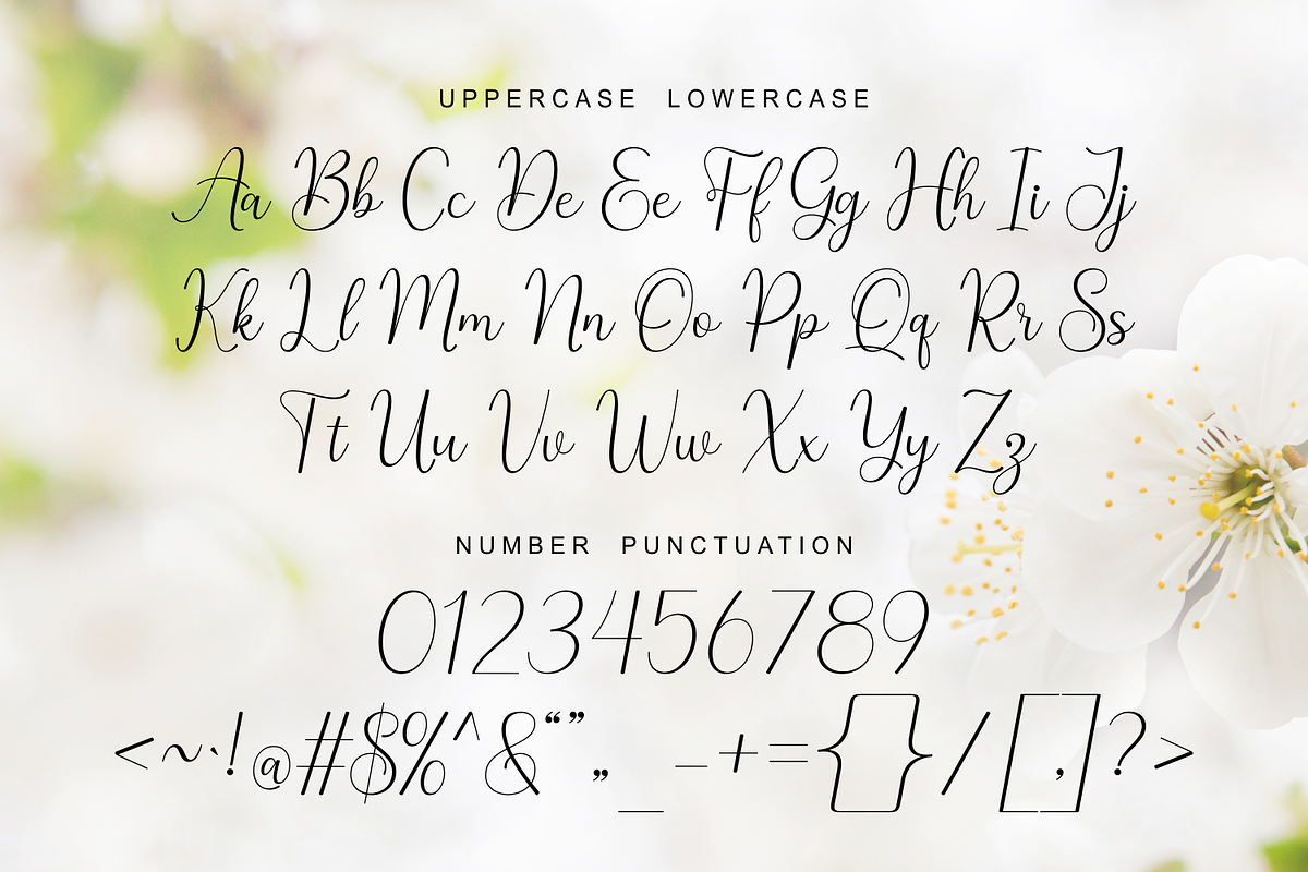 Taralyna - Calligraphy Font, a Script Font by Imiftype Studio (Photo 8 of 10)