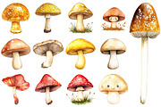 Watercolor Mushrooms Clipart Bundle, an Illustration by Pixels.Craft (Thumbnail 2 of 4)