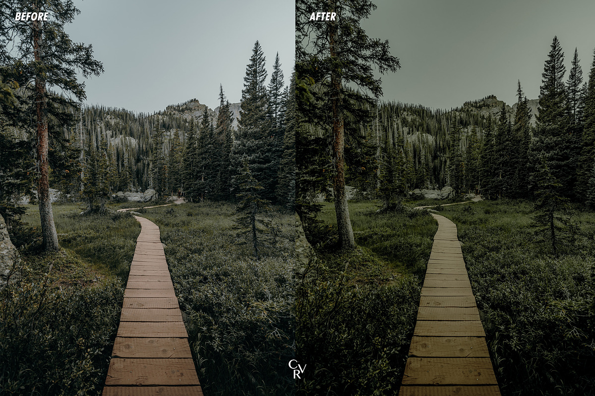 Cinematic Greens Lightroom Presets, a Preset Add-On by CVR Presets (Photo 3 of 6)