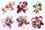 Watercolor Orchid Flowers Clipart, a Graphic by CitraGraphics (Thumbnail 3 of 4)
