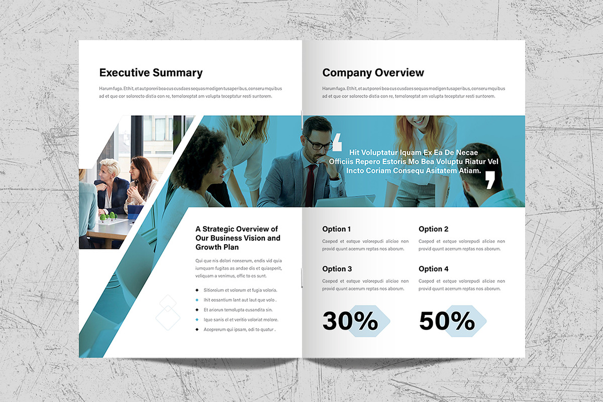 Business Plan Brochure Template, a Brochure Template by White Graphic (Photo 3 of 11)