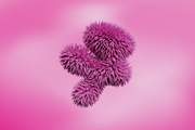 3D Floral Shapes - 95 Shapes, a Graphic by Dirtybarn (Thumbnail 8 of 26)
