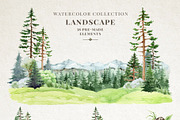 Woodland Animals Watercolor Clipart, an Animal Illustration by AnitaPol (Thumbnail 6 of 17)