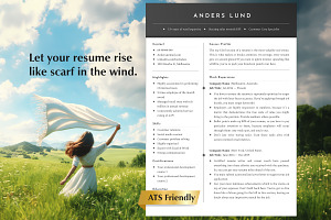 Professional Resume Template Word, a Resume Template by Career Canvas