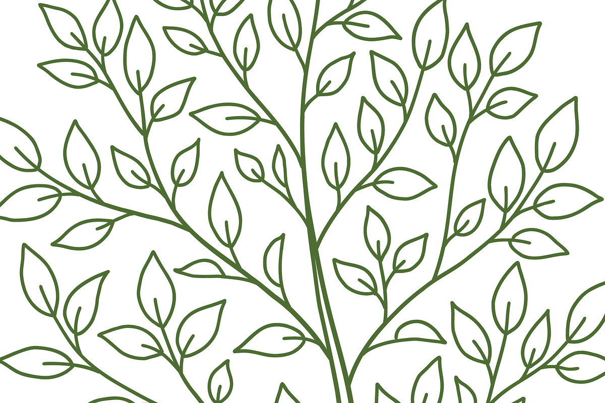 Tree Growth Stages, an Object Illustration by Ilia Design (Photo 2 of 6)