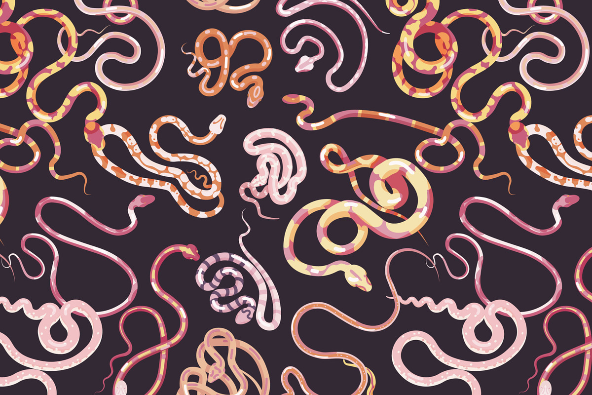 Snakes set and seamless, an Animal Illustration by Good Studio (Photo 8 of 10)