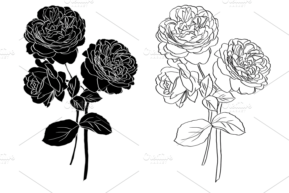 Bunch of Roses, an Object Graphic by VictoriaKStudio (Photo 2 of 8)