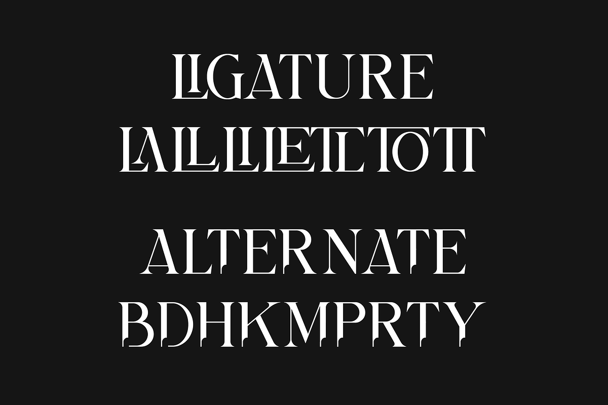Bilargy Classic Serif Font, a Serif Font by Maryamtype Studio (Photo 10 of 15)