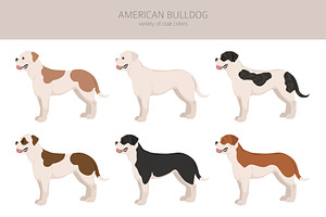 American Bulldog Clipart