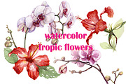Watercolor Tropical Plants, a Decorative Illustration by Valentyna Smordova (Thumbnail 4 of 6)