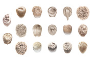 Hair Clipаrt, Men's Hairstyles, an Illustration by Elenbushe (Thumbnail 11 of 11)