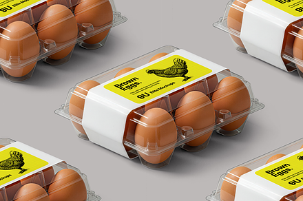Egg Carton Packaging Mockup