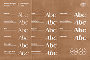 Stainger, a Sans Serif Font by din-studio.com (Thumbnail 10 of 11)