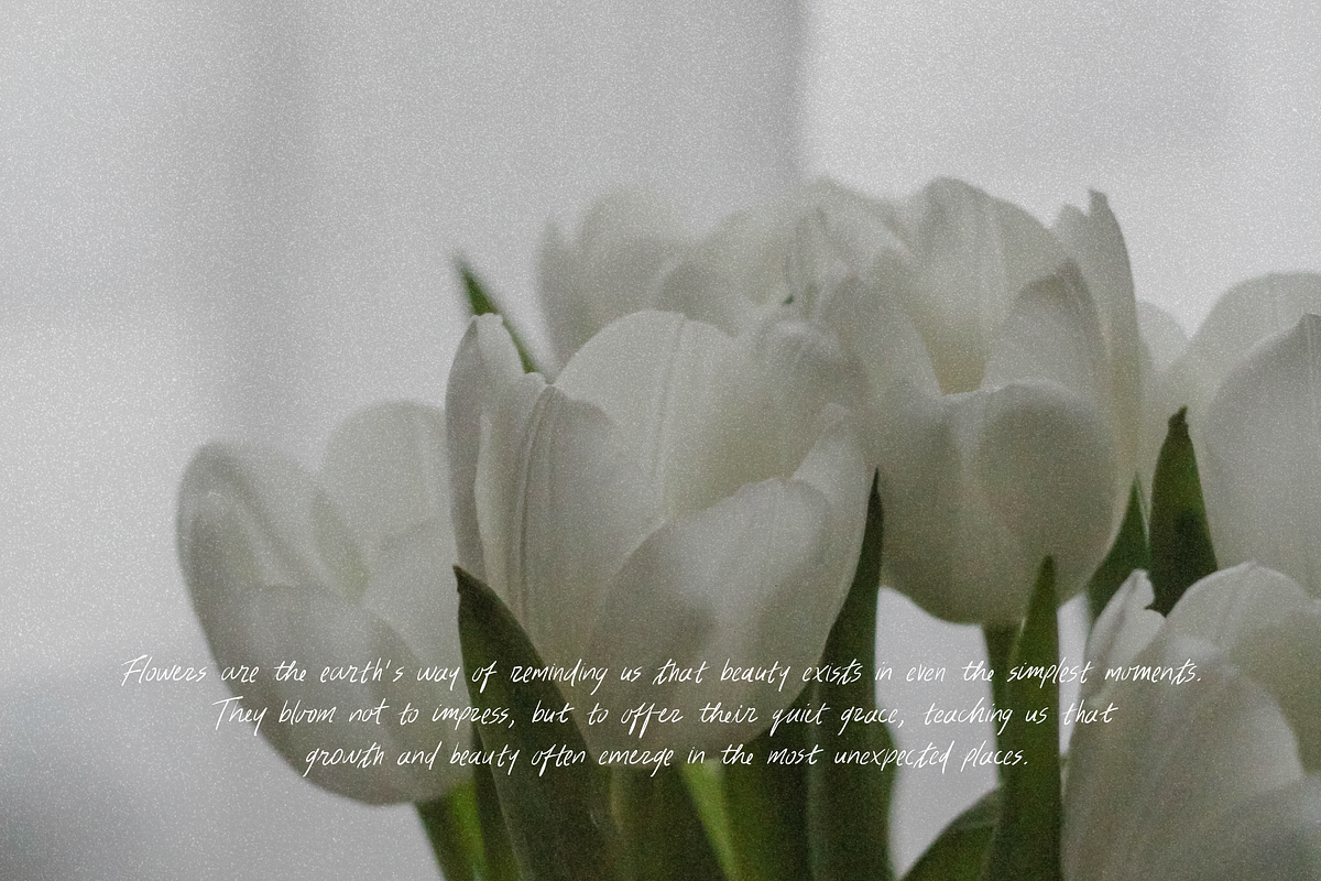 Thursday Morning Handwritten Font, a Handwritten Font by The Gelato Type (Photo 23 of 31)
