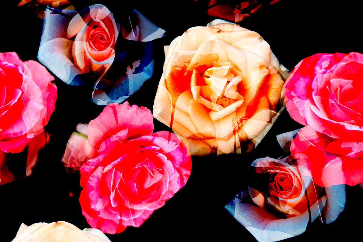 Beautiful seamless floral patterns., a Pattern Graphic by zeffir (Photo 2 of 3)
