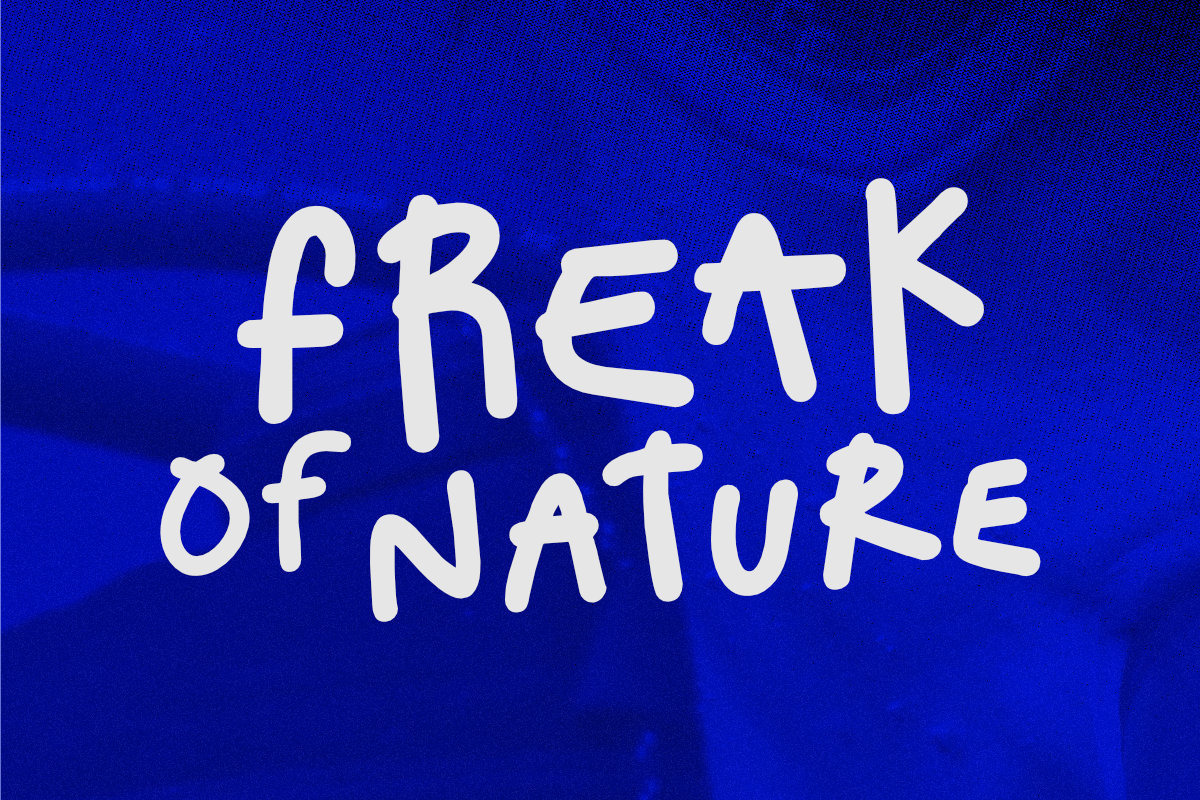 Life Changer - Fun Display Font, a Handwritten Font by Olivetype (Photo 5 of 5)
