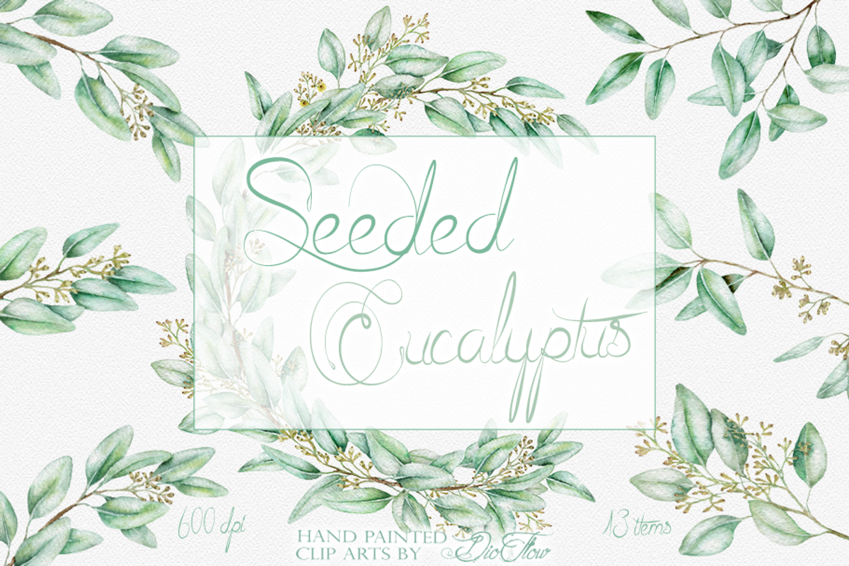 Seeded Eucalyptus Illustration, a Decorative Illustration by DioFlow (Photo 1 of 6)