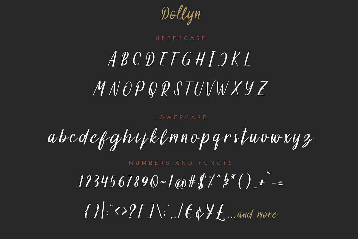 Dollyn Script - Casual Playful Font, a Script Font by Konstantine Studio (Photo 9 of 11)