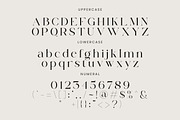 Volgarie - Modern Serif Font, a Serif Font by Flawless And Co (Thumbnail 4 of 10)