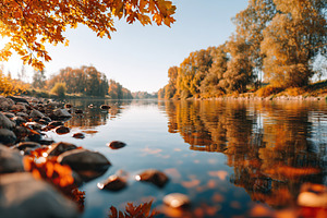 Autumn leaves fall gently by a quiet river reflecting golden trees, a Photo by AlyaAnd