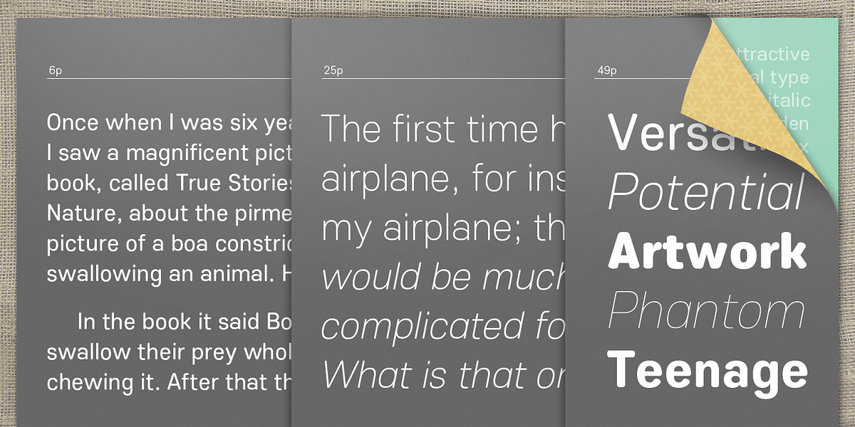 Core Sans ES, a Sans Serif Font by S-Core (Photo 4 of 5)