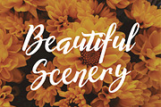Willynta Script, a Script Font by Patria Ari (P4tcreativa) (Thumbnail 11 of 13)
