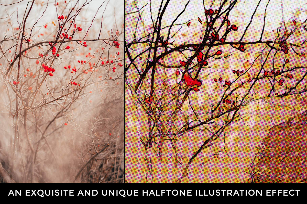 Ultimate Photoshop Action Collection, an Action Add-On by Dene Studios (Photo 31 of 60)