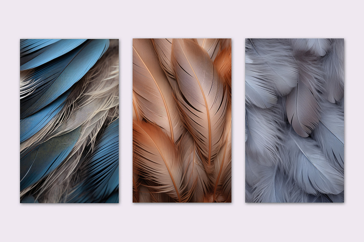 BACKGROUND BIRD VARIOUS FEATHERS, a Background Graphic by Sophico (Photo 2 of 5)