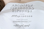 Palmeras Beautiful Handwritten Font, a Script Font by Letterative Studio (Thumbnail 6 of 6)