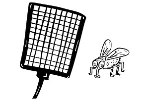 Fly Swatter and Housefly Cartoon, an Illustration by patrimonio