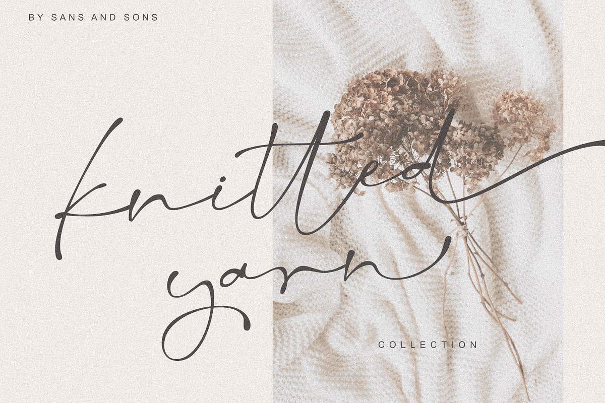 Salty Feathers - Modern Script, a Script Font by Sans & Sons (Photo 7 of 10)
