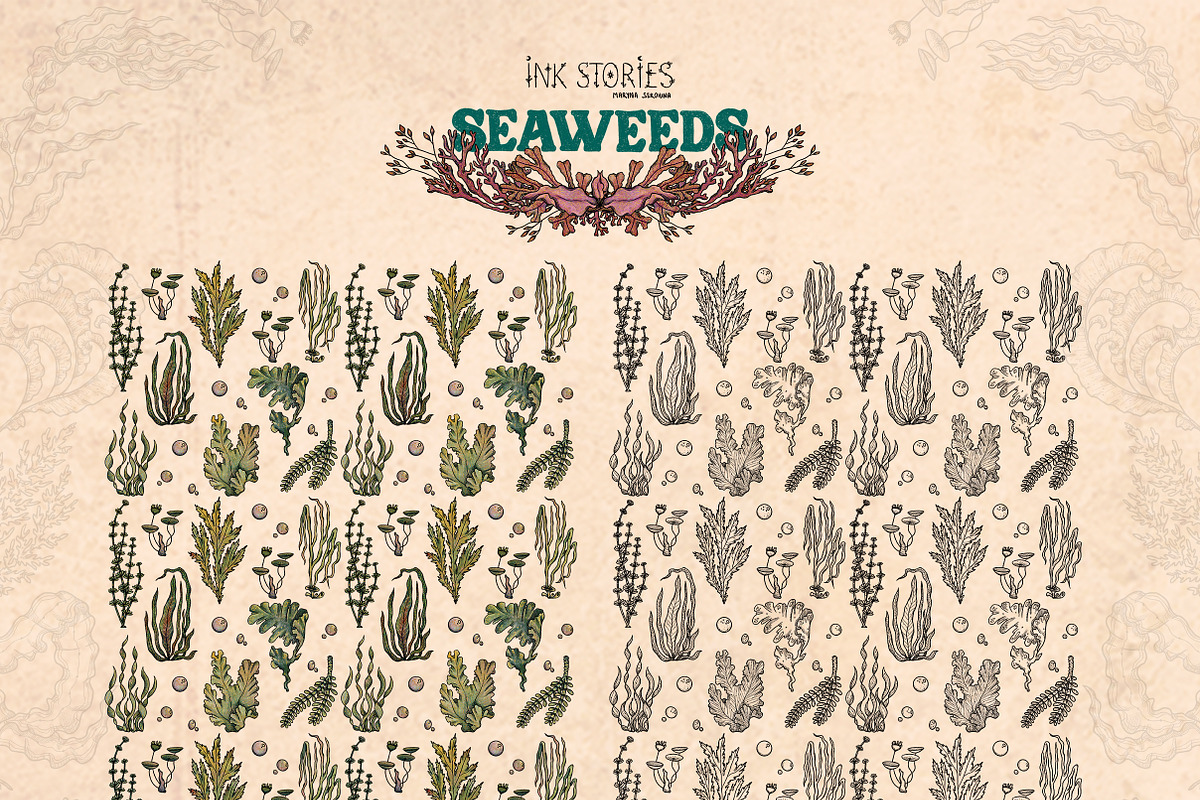 Seaweeds, an Object Illustration by Ink Stories (Photo 24 of 24)