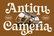 Sayin Cherik Vintage Serif Font, a Serif Font by timelesstype.co (Thumbnail 4 of 15)