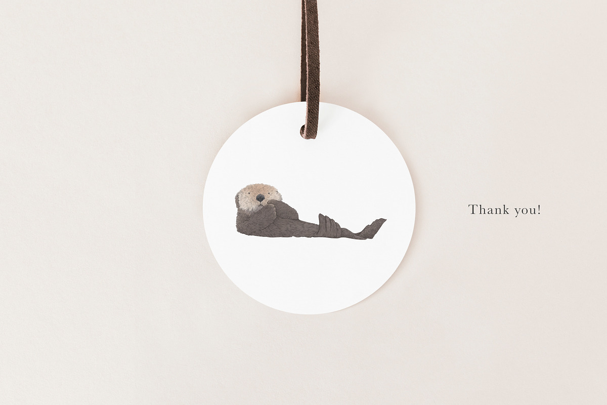 Ocean Species Set - Hand-drawn PNGs, an Animal Illustration by LaurenFittonIllustration (Photo 10 of 10)