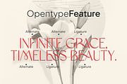 Amoera Elegant Serif Display Font, a Serif Font by Vampstudio (Thumbnail 6 of 14)