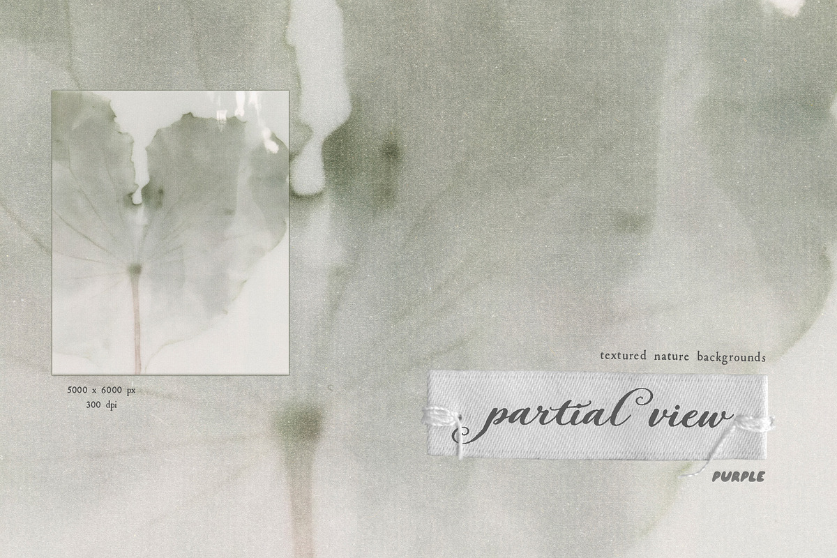 Partial View - Nature Backgrounds, a Background Graphic by Purple (Photo 4 of 12)