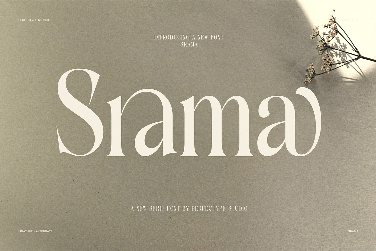 Srama Elegant Luxury Serif Font, a Serif Font by Perfectype (Photo 1 of 8)