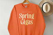 Knighty Gheffta Modern Serif Font, a Serif Font by timelesstype.co (Thumbnail 9 of 20)