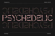 Aksataga - A Modern Classic Typeface, a Sans Serif Font by Samtiv Studio (Thumbnail 2 of 7)