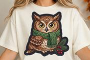 Cozy Winter Owl PNG, an Object Illustration by DreamCafeArt (Thumbnail 4 of 6)